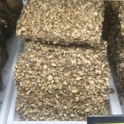 Flash Sale 🧨 Disney Minnie's Bake Shop - Milk Chocolate English Toffee Bar ⭐